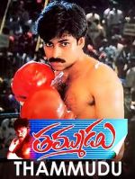 Watch Thammudu 123movies
