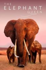 Watch The Elephant Queen 123movies