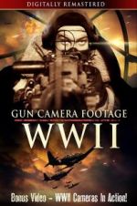 Watch Gun Camera Footage WWII 123movies