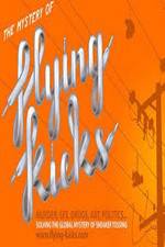 Watch The Mystery of Flying Kicks 123movies