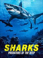 Watch Sharks: Predators of the Deep 123movies
