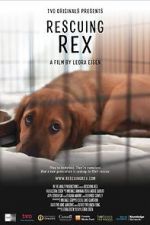 Watch Rescuing Rex 123movies