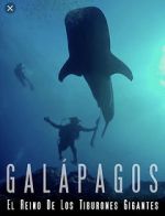 Watch Galapagos: Realm of Giant Sharks 123movies