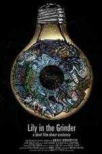 Watch Lily in the Grinder 123movies