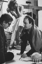 Watch The Man Who Shot the 60s 123movies