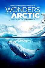 Watch Wonders of the Arctic 3D 123movies