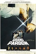 Watch The Big Pardon 123movies