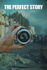 Watch The Perfect Story 123movies