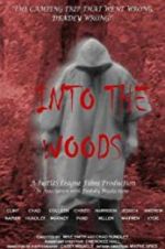 Watch Into the Woods 123movies