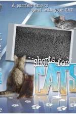 Watch Shorts for Cats 123movies