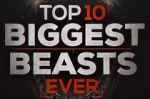 Watch Top 10 Biggest Beasts Ever 123movies