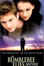 Watch The Bumblebee Flies Anyway 123movies