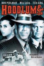 Watch Hoodlum & Son 123movies
