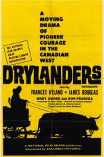 Watch Drylanders 123movies