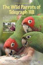 Watch The Wild Parrots of Telegraph Hill 123movies