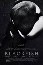 Watch Blackfish 123movies