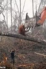 Watch Climate Change: The Facts 123movies