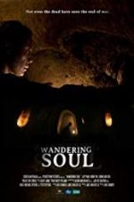 Watch Wandering Soul 123movies