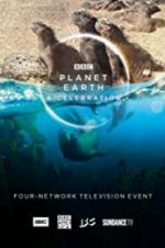 Watch Planet Earth: A Celebration 123movies
