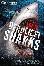 Watch National Geographic Worlds Deadliest Sharks 123movies