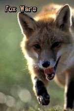 Watch Fox Wars 123movies