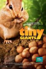 Watch Tiny Giants 3D 123movies