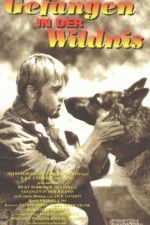 Watch Call of the Wild 123movies