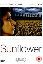 Watch Sunflower 123movies