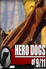 Watch Hero Dogs of 911 Documentary Special 123movies