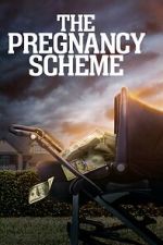 Watch The Pregnancy Scheme 123movies