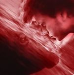 Watch We All Poop: All the Blood 123movies