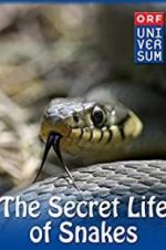 Watch The Secret Life of Snakes 123movies