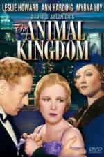 Watch The Animal Kingdom 123movies