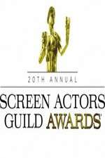 Watch The 20th Annual Screen Actors Guild Awards 123movies