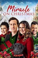 Watch Miracle on Christmas 123movies