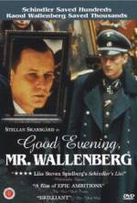 Watch Good Evening, Mr. Wallenberg 123movies
