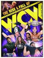 Watch WWE: The Rise and Fall of WCW 123movies