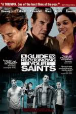 Watch A Guide to Recognizing Your Saints 123movies