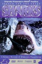 Watch Search for the Great Sharks 123movies