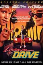 Watch License to Drive 123movies
