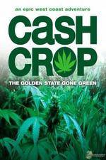 Watch Cash Crop 123movies
