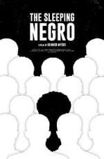 Watch The Sleeping Negro 123movies