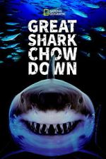 Watch Great Shark Chow Down 123movies
