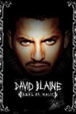 Watch David Blaine: Real or Magic 123movies