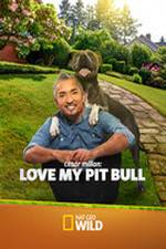 Watch Cesar Millan: Love My Pit Bull 123movies