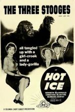 Watch Hot Ice 123movies