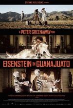Watch Eisenstein in Guanajuato 123movies