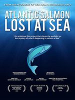 Watch Atlantic Salmon: Lost at Sea 123movies