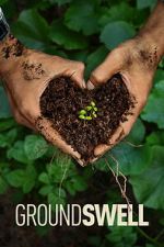 Watch Groundswell 123movies