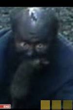 Watch The Legend of Catman 123movies